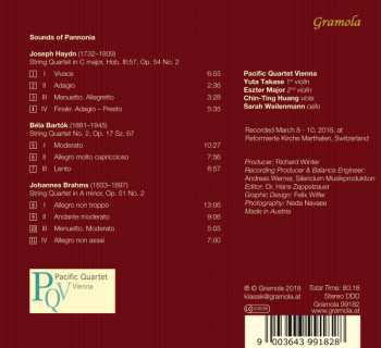 CD Johannes Brahms: Klänge Aus Pannonien = Sounds Of Pannonia
