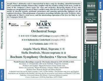 CD Bochumer Symphoniker: Orchestral Songs