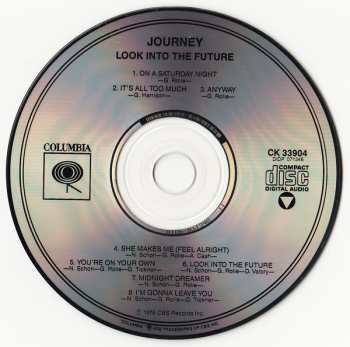 CD Journey: Look Into The Future