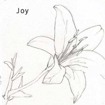 Album Joy: Joy