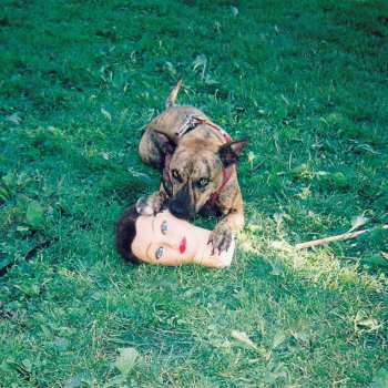 Album Joyce Manor: Cody