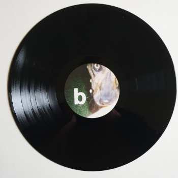 LP Joyce Manor: Cody