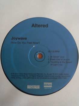 2LP Joywave: How Do You Feel Now?