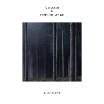 Juan Atkins: Borderland