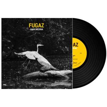 Album Juan Medina: Fugaz 