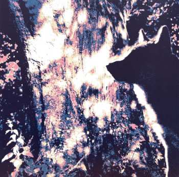 CD Judith Weir: Blond Eckbert