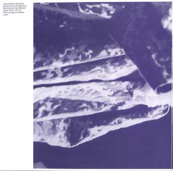 2LP/Dobozkészlet Julius Eastman: The Nigger Series CLR | LTD