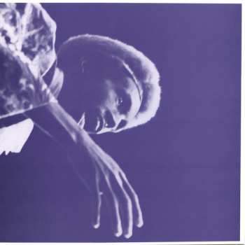 2LP/Dobozkészlet Julius Eastman: The Nigger Series CLR | LTD