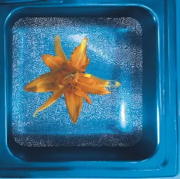 June Star: How We See It Now