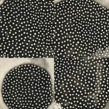 CD K. Leimer: Proximate Forms