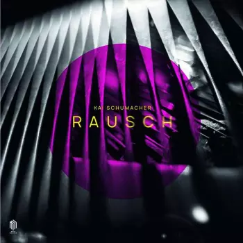 Kai Schumacher: Klavierwerke "rausch"