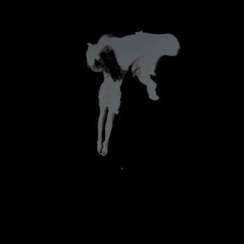 LP Kaleida: Tear The Roots