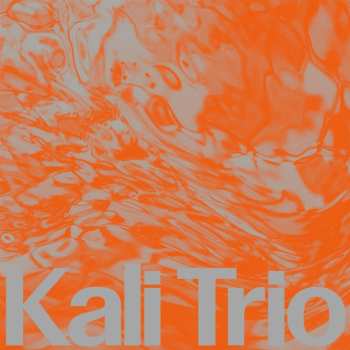 LP Kali Trio: The Playful Abstract (lp)