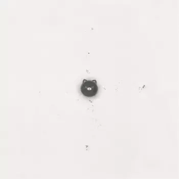 Ishi No Ito Hitorideni