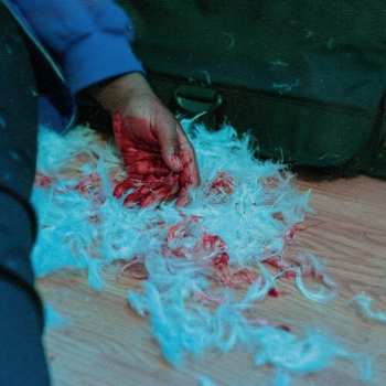 LP Kaonashi: Dear Lemon House, You Ruined Me: Senior Year