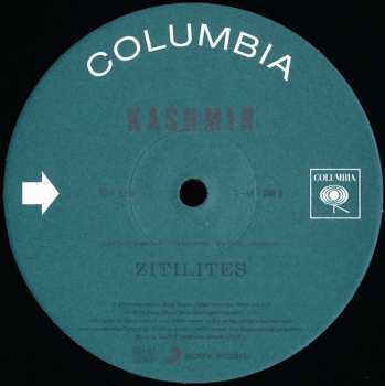 2LP Kashmir: Zitilites