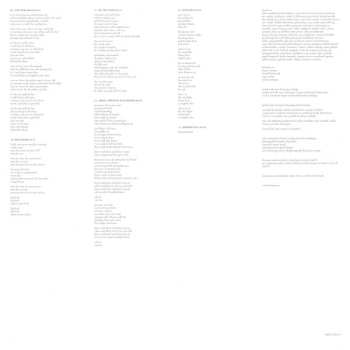 2LP Kashmir: Zitilites