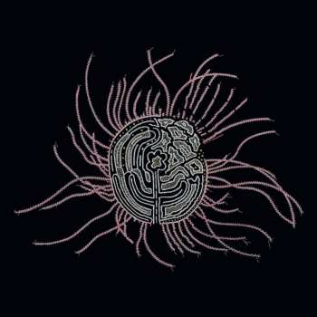 Album Kathleen Baird: Bearings: Soundtracks For The Bardos'