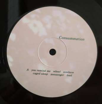 LP Katie von Schleicher: Consummation
