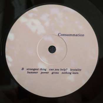 LP Katie von Schleicher: Consummation
