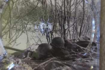 CD Kevin K: End Of Complications