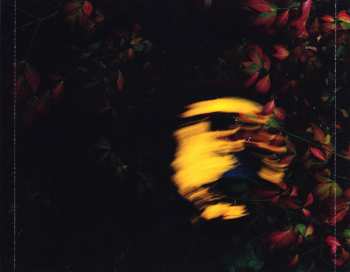 CD Khruangbin: LateNightTales