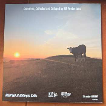 LP KiF Productions: Still Out