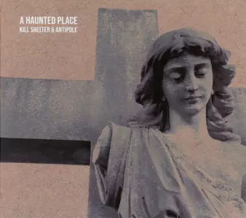 Kill Shelter: A Haunted Place