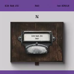 Kim Nam Joo: Bad
