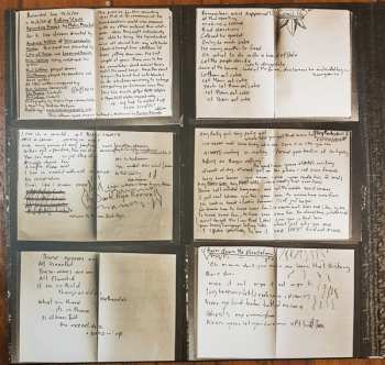 2LP Kim Salmon And The Surrealists: Rantings From The Book Of Swamp