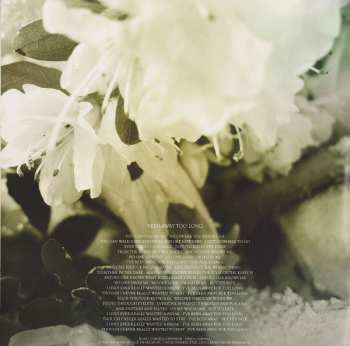 2LP Soundgarden: King Animal