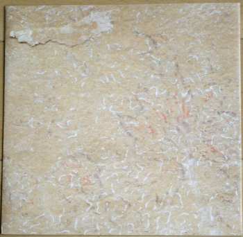 LP King Creosote: To Deal With Things