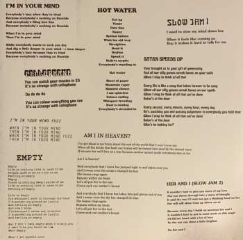 2LP King Gizzard And The Lizard Wizard: I'm In Your Mind Fuzz