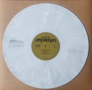 2LP King Gizzard And The Lizard Wizard: Omnium Gatherum