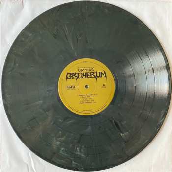 2LP King Gizzard And The Lizard Wizard: Omnium Gatherum