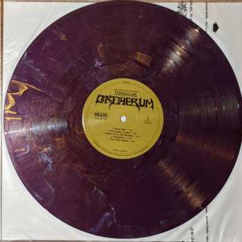2LP King Gizzard And The Lizard Wizard: Omnium Gatherum