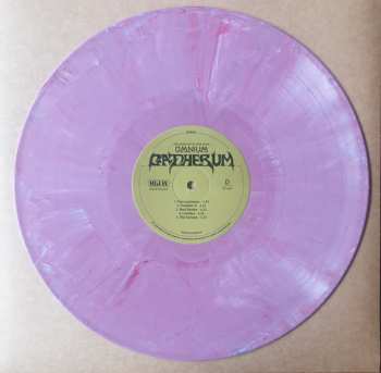 2LP King Gizzard And The Lizard Wizard: Omnium Gatherum