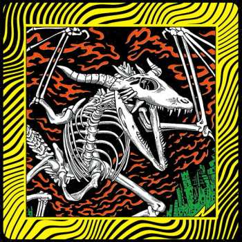 Album King Gizzard And The Lizard Wizard: Acoustic Gizzard: Live in Detroit 2024