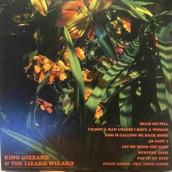 LP King Gizzard And The Lizard Wizard: Float Along - Fill Your Lungs CLR