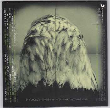 5CD/DVD/Dobozkészlet Kings Of Leon: The Collection Box