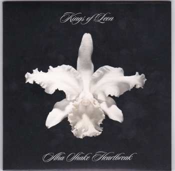 5CD/DVD/Dobozkészlet Kings Of Leon: The Collection Box