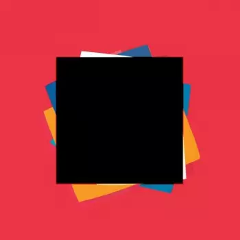Kinkajous: Hidden Lines