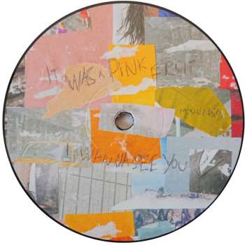 LP Kiran Leonard: Pink Fruit