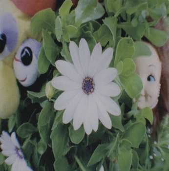 CD Kiss The Clown: Kiss The Clown