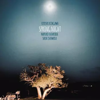 Spring Night