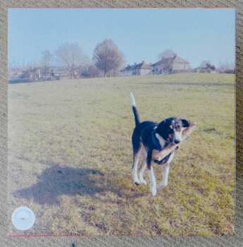 LP KLÄMP: Hate You  LTD