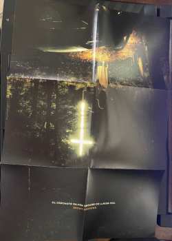 CD Knocked Loose: You Won't Go Before You're Supposed To DIGI