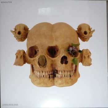 LP Kohoutek: Lossless Loss LTD | CLR