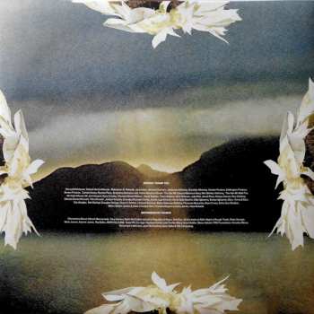 LP Kokoroko: Could We Be More