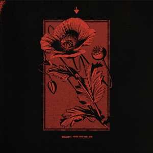 CD Kollaps: Until The Day I Die DIGI